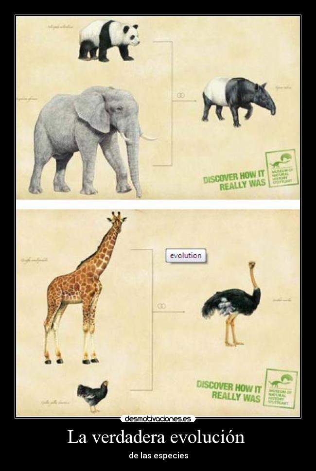 carteles holaa desmotivaciones