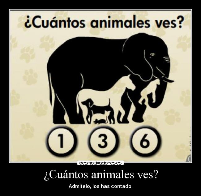 ¿Cuántos animales ves? - Admitelo, los has contado.