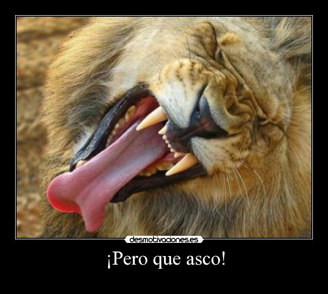 ¡Pero que asco! - 