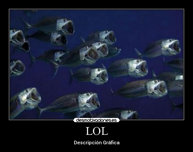 LOL -