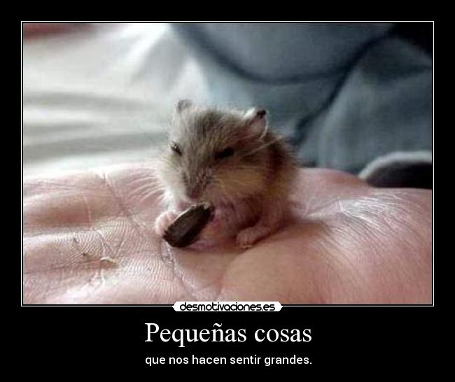 Pequeñas cosas - 