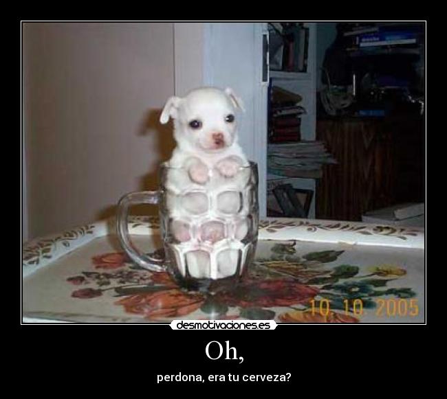 Oh, - perdona, era tu cerveza?