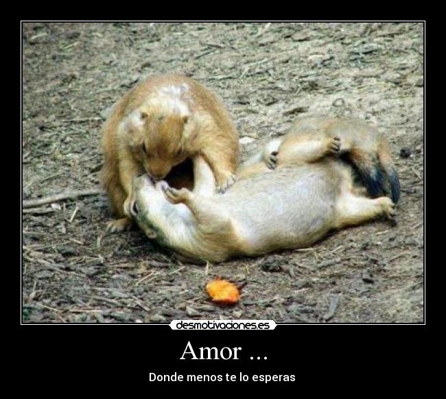 Amor ... - Donde menos te lo esperas 