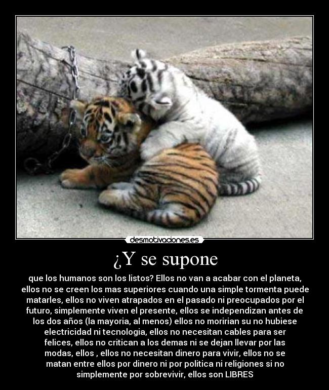 ¿Y se supone - 
