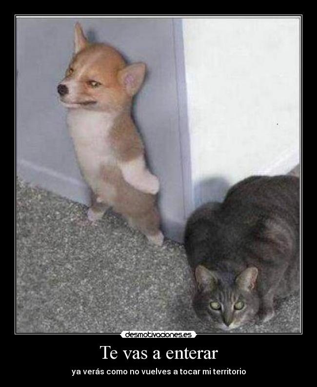 Te vas a enterar - 