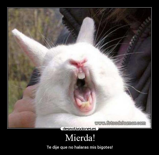 Mierda! - Te dije que no halaras mis bigotes!