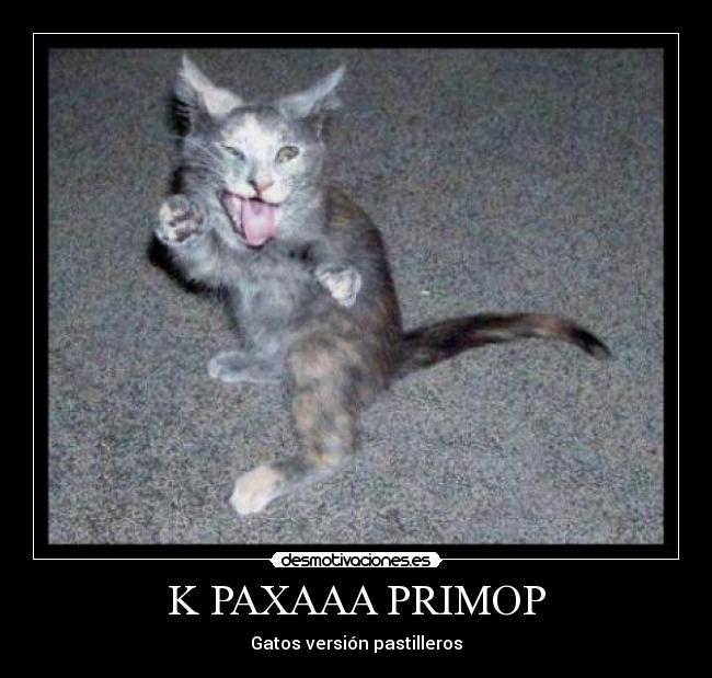 K PAXAAA PRIMOP - 