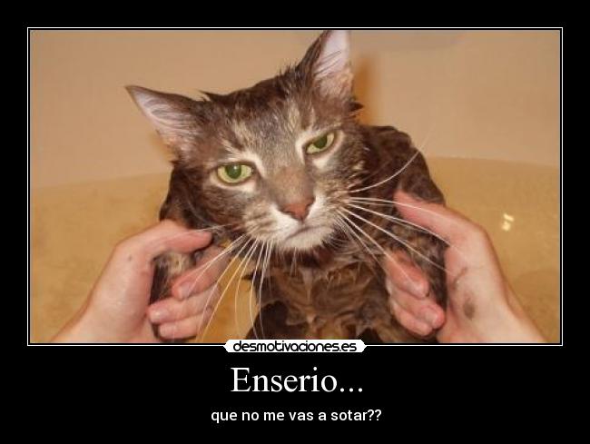 Enserio... - que no me vas a sotar??