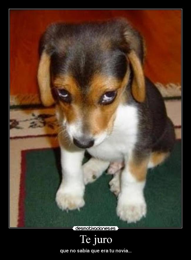 Te juro -