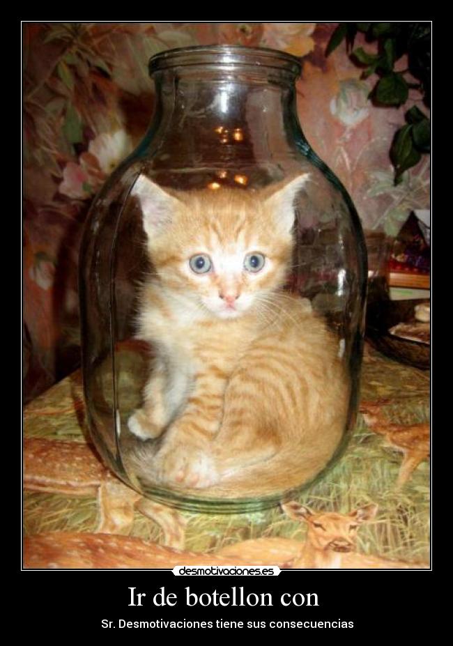 Ir de botellon con - Sr. Desmotivaciones tiene sus consecuencias