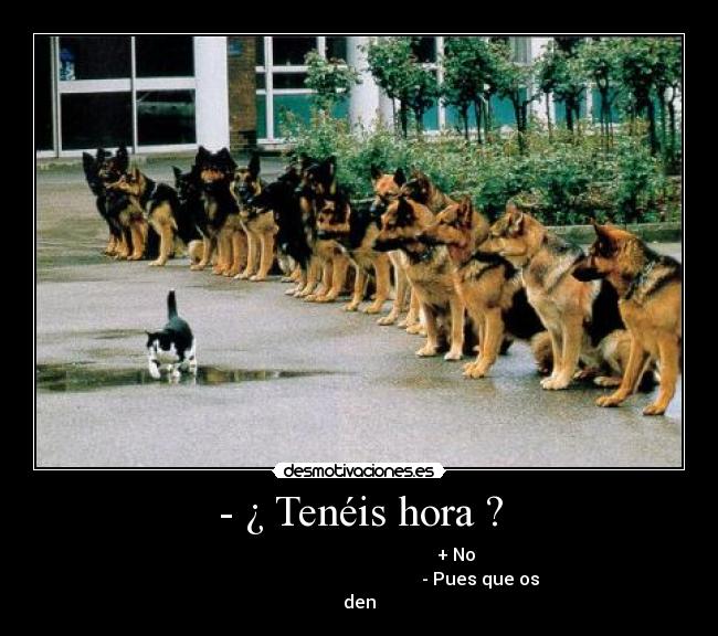 - ¿ Tenéis hora ? -