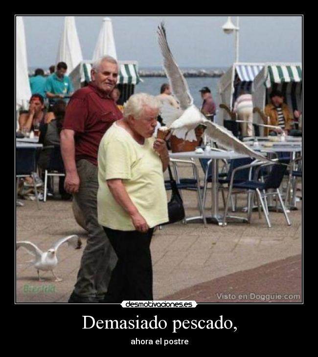 Demasiado pescado, - ahora el postre