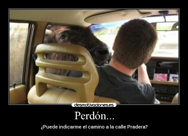 Perdón... - ¿Puede indicarme el camino a la calle Pradera?