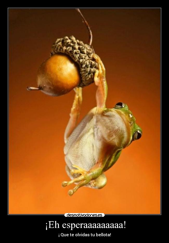 ¡Eh esperaaaaaaaaa! - 