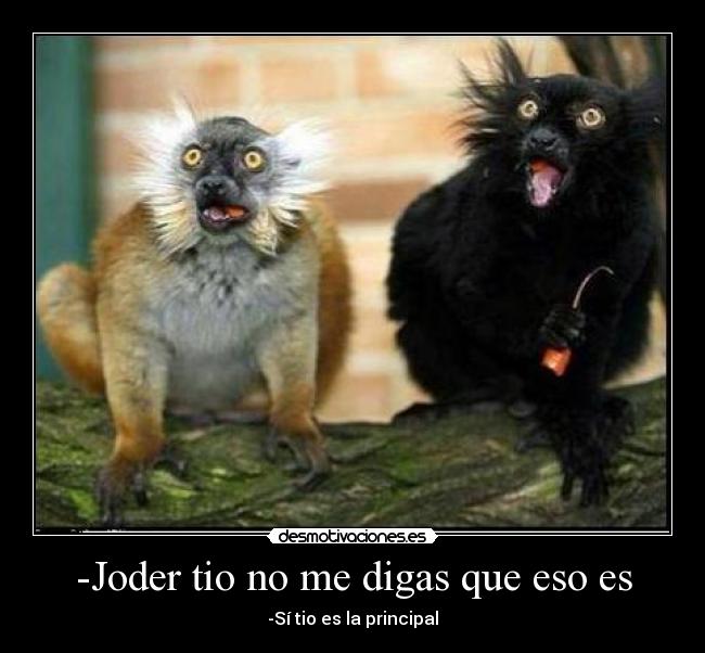 -Joder tio no me digas que eso es - 