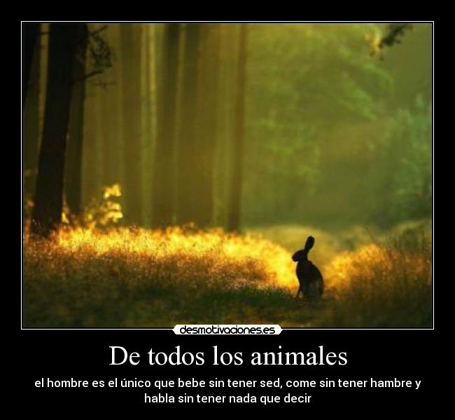 De todos los animales - 