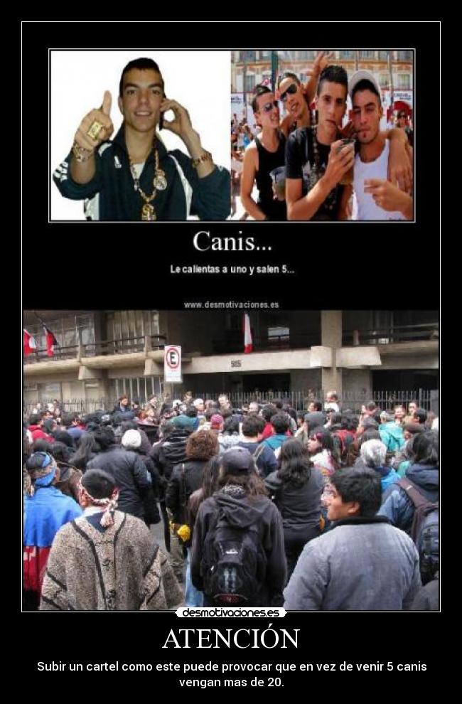 carteles chukyjare desmotivaciones