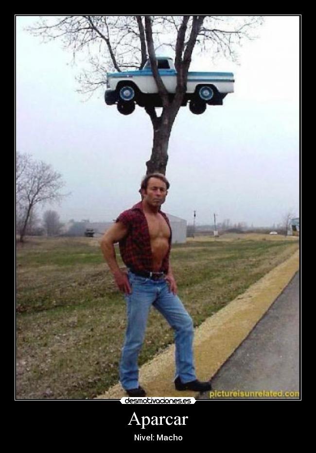 Aparcar - Nivel: Macho