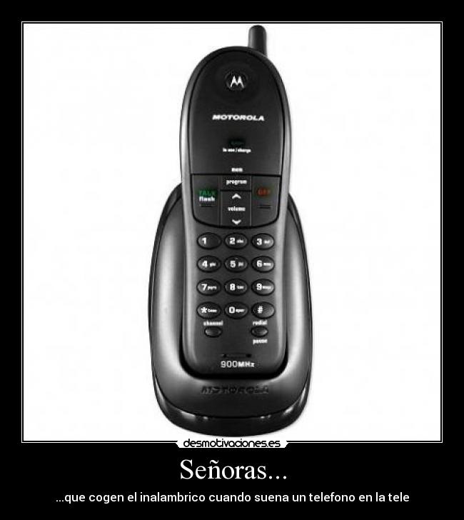 carteles senoras desmotivaciones