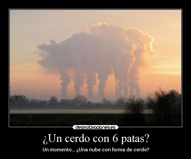 carteles cerdo nube desmotivaciones