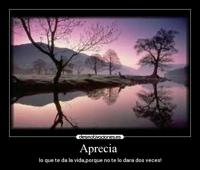 Aprecia - lo que te da la vida,porque no te lo dara dos veces!