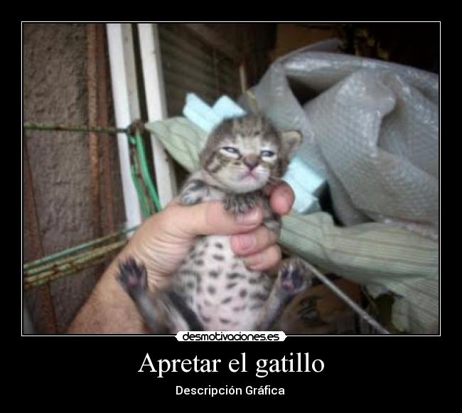 Apretar el gatillo - Descripción Gráfica 