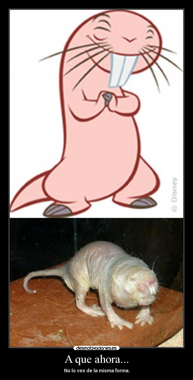 A que ahora... - No lo ves de la misma forma.