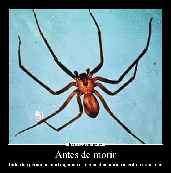 Antes de morir -