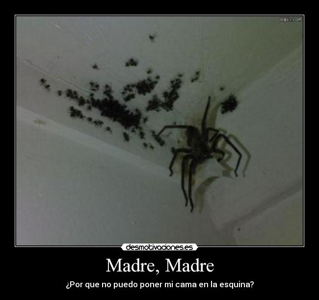 Madre, Madre - ¿Por que no puedo poner mi cama en la esquina?