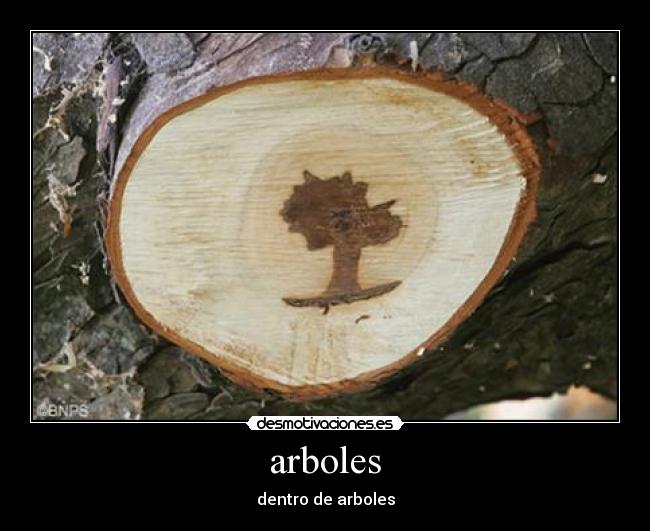 arboles - dentro de arboles