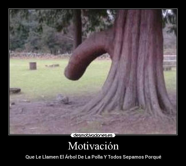 Motivación - 