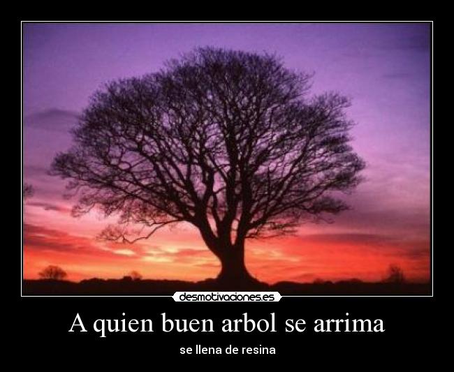 A quien buen arbol se arrima -