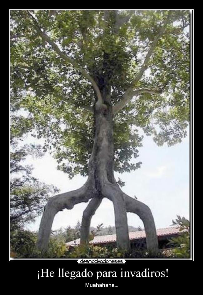 ¡He llegado para invadiros! -