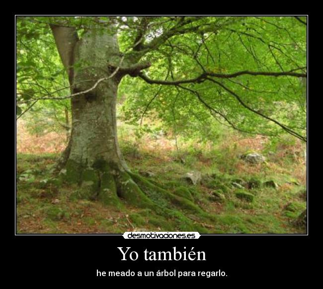 carteles arbol desmotivaciones