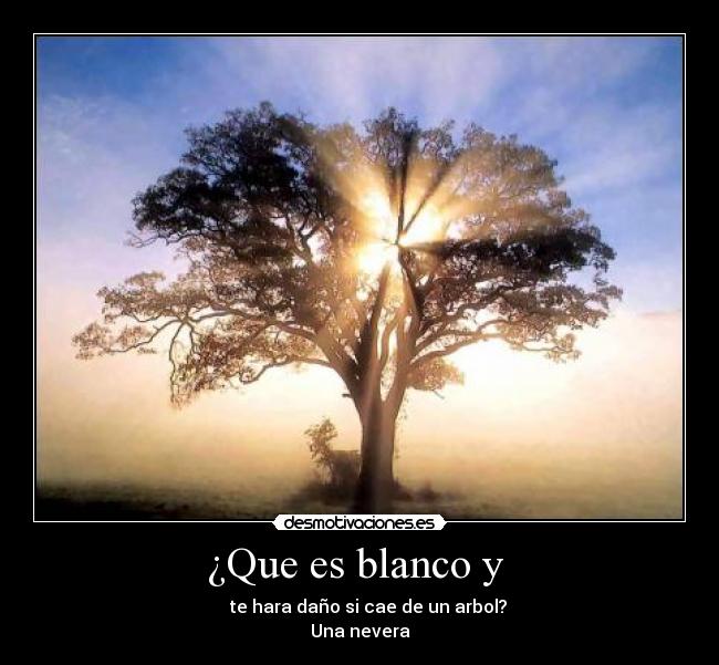 ¿Que es blanco y -
