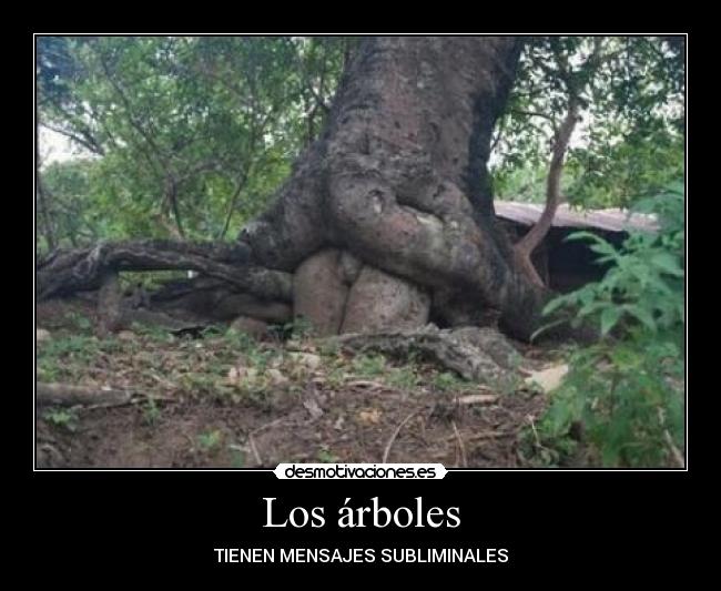 Los árboles - 