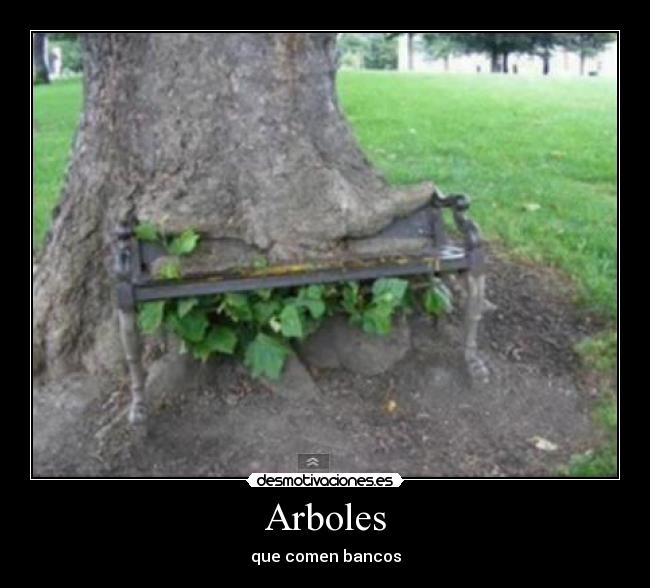 carteles insert coin arboles bancos desmotivaciones