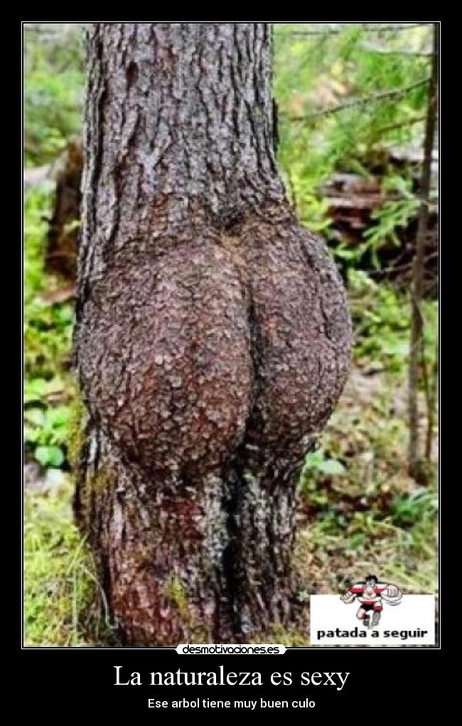 carteles naturaleza naturaleza sexy desmotivaciones