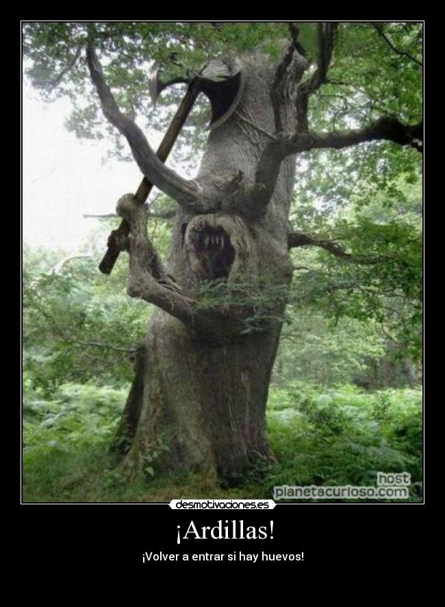¡Ardillas! - ¡Volver a entrar si hay huevos!