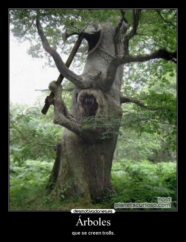 Árboles -