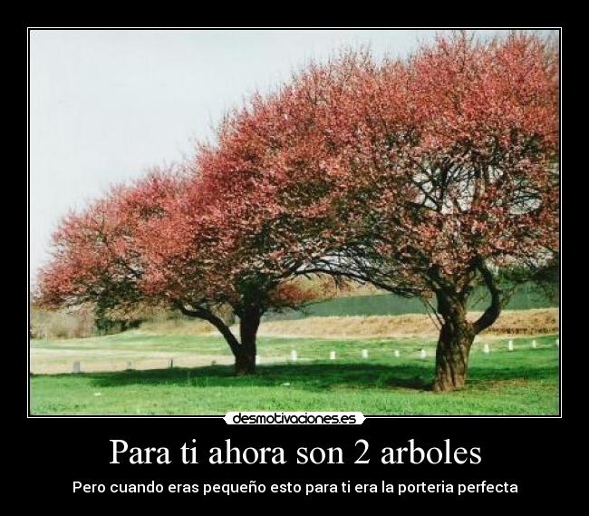 Para ti ahora son 2 arboles - Pero cuando eras pequeño esto para ti era la porteria perfecta