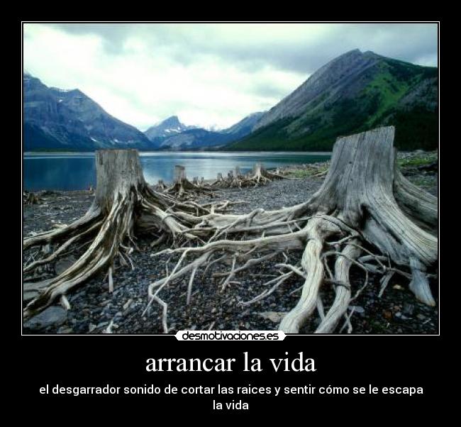arrancar la vida - el desgarrador sonido de cortar las raices y sentir cómo se le escapa la vida