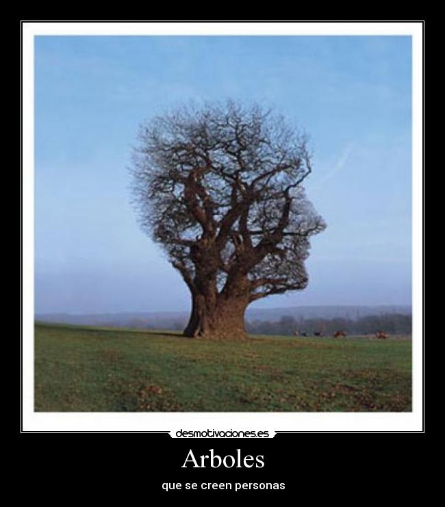 Arboles - que se creen personas