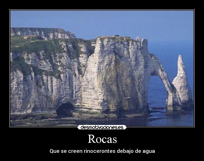 Rocas - Que se creen rinocerontes debajo de agua