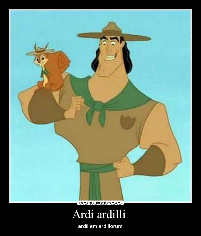 Ardi ardilli  - ardillem ardillorum.