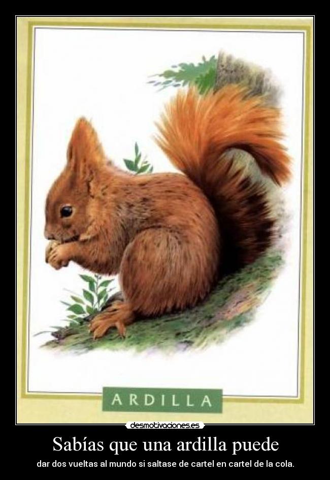 carteles ardillas desmotivaciones