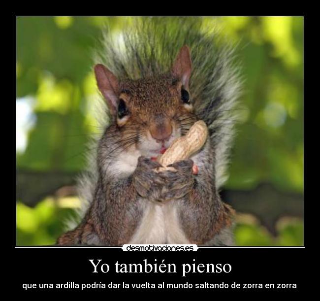 Yo también pienso - que una ardilla podría dar la vuelta al mundo saltando de zorra en zorra