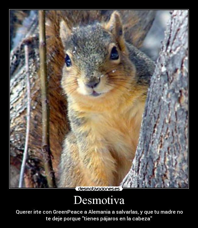 Desmotiva - 