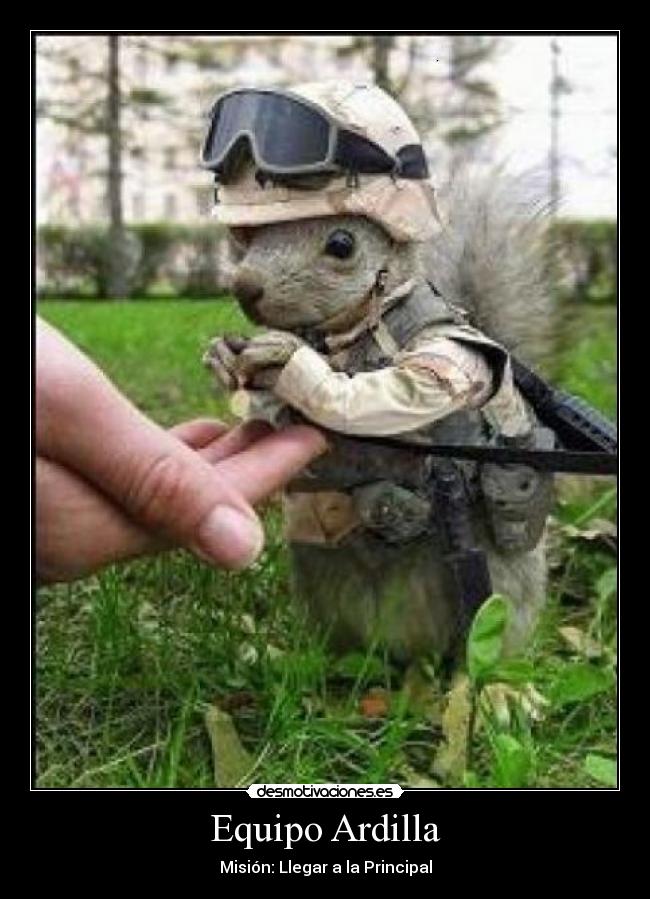 Equipo Ardilla -