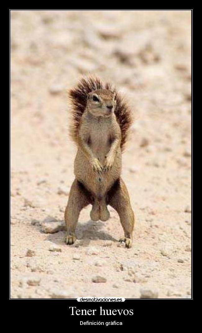 Tener huevos - Definición gràfica